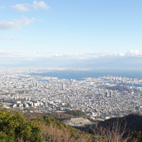 菊正宗写真6